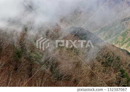 The misty ridgeline seen from the summit of Mount Ryokami in Okuchichibu in early spring The misty ridgeline seen from the summit of Mount Ryokami in Okuchichibu in early spring 132387067