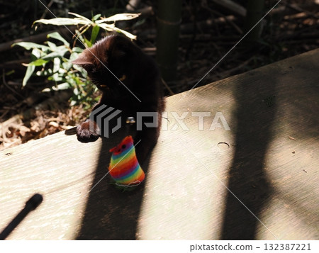 可愛的小貓天真地玩耍 132387221