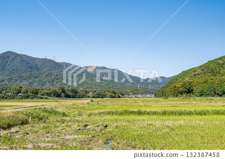 A peaceful rural scene after the harvest in Makino Town, Takashima City, Shiga Prefecture 132387458