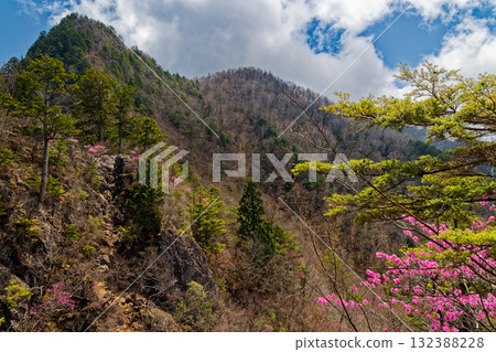 The Ryokami mountain ridgeline in early spring, seen from Nishidake on Hatchoone Ridge, where red azaleas bloom 132388228