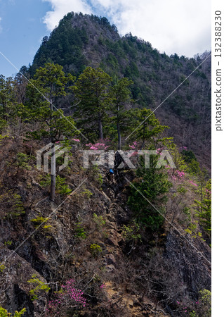 早春時節,紅杜鵑盛開,登山者們沿著龍神山八丁脊的岩石地帶行走 早春時節,紅杜鵑盛開,登山者們沿著龍神山八丁脊的岩石地帶行走 132388230