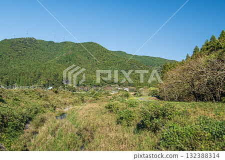 Weeds growing over the Chiuchi River in Takashima City, Shiga Prefecture 132388314