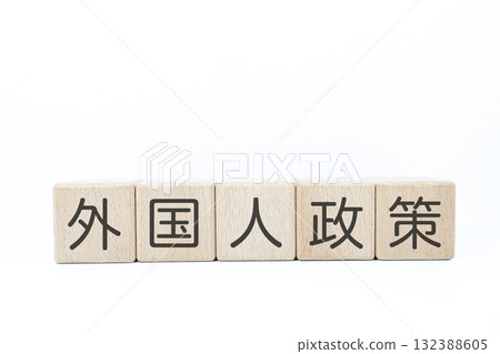 Foreigner Policy lettering blocks. Administrative theme on white background and copy space. 132388605