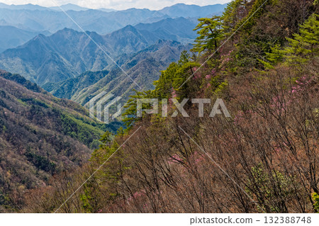 A view of the valley with fresh greenery from Nishidake on the Hatcho Ridge of Mt. Ryokami 132388748