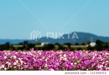 柔和色彩的宇宙與藍天複製空間 柔和色彩的宇宙與藍天複製空間 132389353