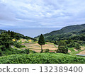 佐渡島的水稻梯田 132389400