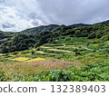 佐渡島的水稻梯田 132389403
