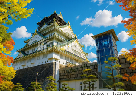 Osaka Castle, Osaka Castle Park, Autumn leaves 132389663