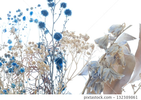 Dried flowers on a white background 132389861