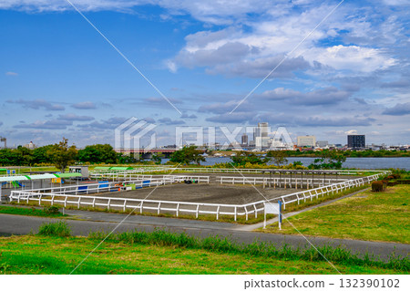 東京都江戶川區筱崎小馬樂園 132390102
