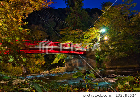 Nakano Momijiyama Bridge Nakano Momijiyama Bridge 132390524