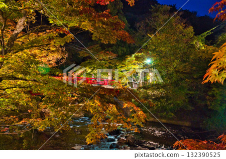 中野紅葉山橋 中野紅葉山橋 132390525