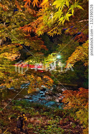 中野紅葉山橋 中野紅葉山橋 132390526