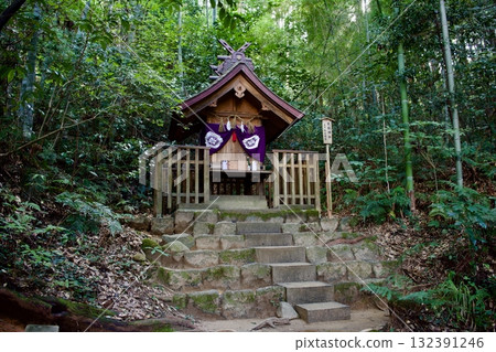 In the forest near Kagami-no-ike Pond at Yaegaki Shrine 132391246