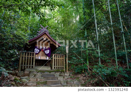 In the forest near Kagami-no-ike Pond at Yaegaki Shrine 132391248