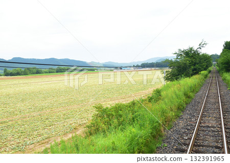 View of JR Hokkaido's Sekihoku Main Line between Hiunai Station and Aishino Station (Summer 2023) 132391965