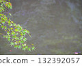 左側垂下的綠色楓葉和背景池塘中倒映的森林景觀 132392057