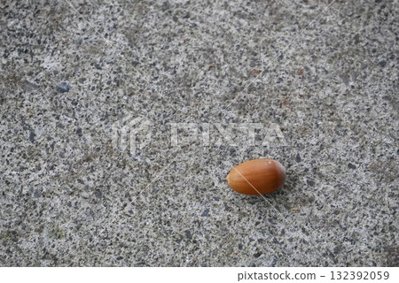 A lone acorn lying on the side of the road 132392059