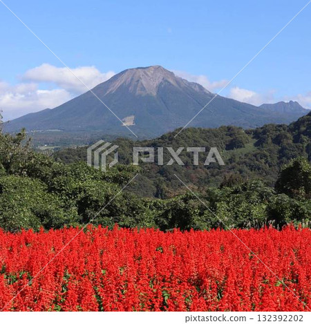 秋天天空下的大波斯菊和大山的壯麗景色 秋天天空下的大波斯菊和大山的壯麗景色 132392202