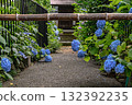 Bunkyo Hydrangea Festival 132392235