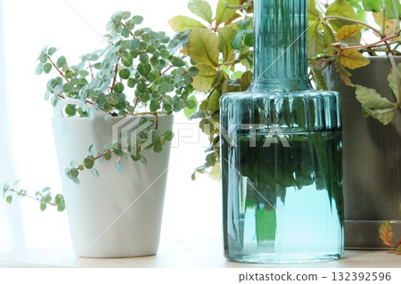 花瓶裡的花與室內植物 132392596
