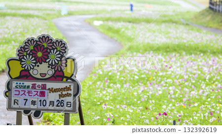 久里濱花卉公園的秋天 132392619