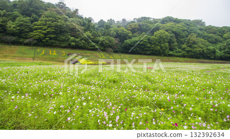 久里濱花卉公園的秋天 132392634