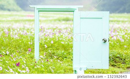 久里濱花卉公園的秋天 132392643