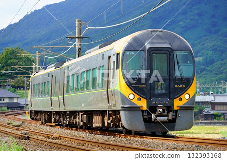 予讚線：國分～贊岐府中特急石鎚（8600系列、2輛編組列車） 132393168