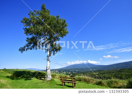 九月的星空微風之丘及其像徵樹 132393305