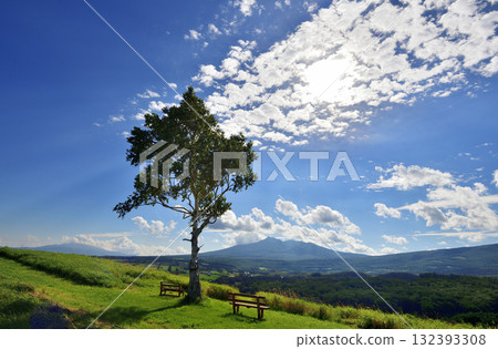 Starry Breeze Hill and its symbolic tree in September Starry Breeze Hill and its symbolic tree in September 132393308
