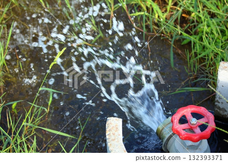 米水龍頭 米水龍頭 132393371