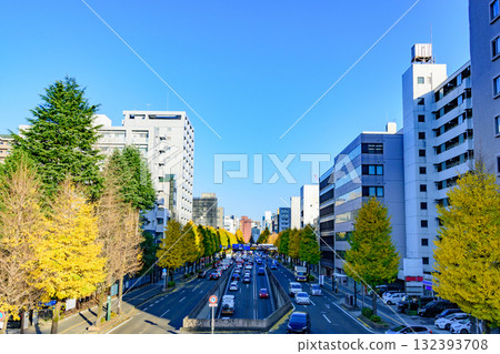 漫步在秋天的森林裡 132393708