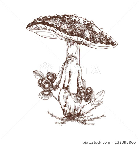 Autumn seasonal vector clipart with agaric mushroom ink graphics decorated with blueberries stem. Hand draw etching wild forest clipart ,botanical silhouette in monochrome for craft poster,card design Autumn seasonal vector clipart with agaric mushroom ink graphics decorated with blueberries stem. Hand draw etching wild forest clipart ,botanical silhouette in monochrome for craft poster,card design 132393860