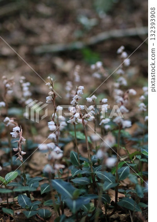 Xuslan Xuslan 132393908