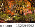 丹波的名寺，充滿歷史感 132394592