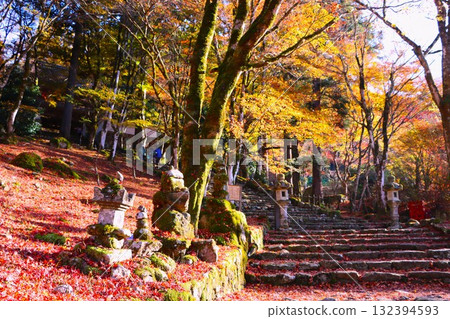 石階上的楓葉營造出獨特的氛圍 132394593