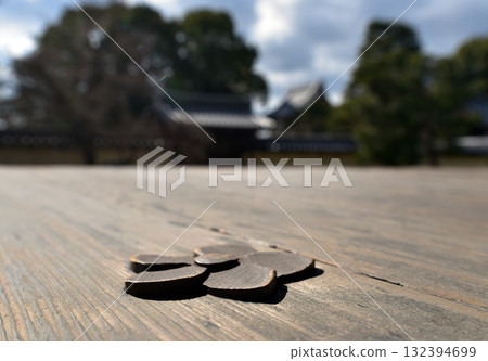 同持院北條庭園 同持院北條庭園 132394699