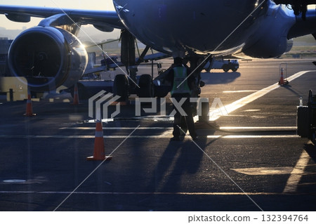 landing gear landing gear 132394764