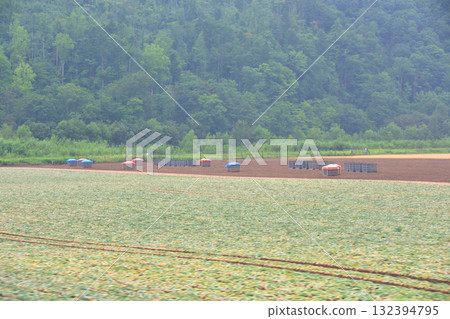 JR北海道石北本線東相內站至留邊芝站的風景（2023年夏季） 132394795