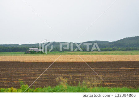 JR北海道石北本線東相內站至留邊芝站的風景（2023年夏季） 132394806