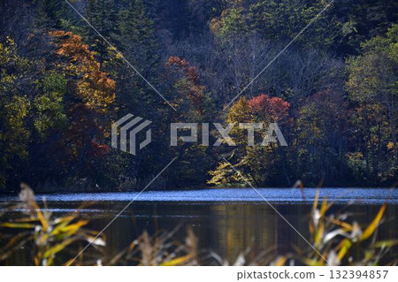 Autumn leaves of Lake Timikepp Autumn leaves of Lake Timikepp 132394857