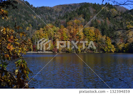 Autumn leaves of Lake Timikepp 132394859
