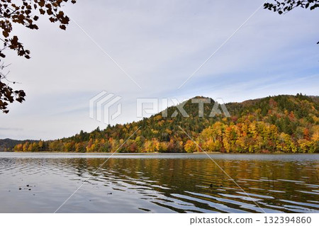 Autumn leaves of Lake Timikepp Autumn leaves of Lake Timikepp 132394860