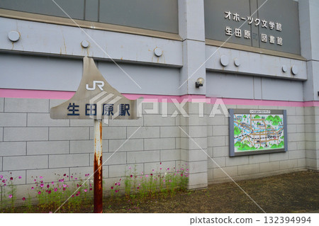 JR北海道石北本線留邊芝站～生田原站之間的景色（2023年夏季） 132394994