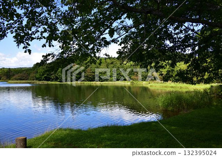 Lake Chimikeppu in summer 132395024
