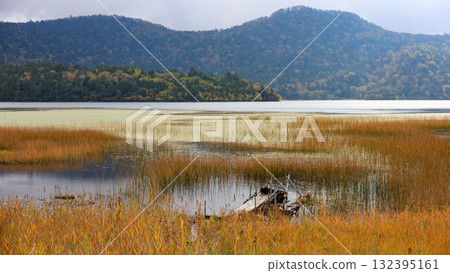 Autumn in Oze, Ozegahara and Ozenuma trekking surrounded by autumnal maple leaves, Gunma Prefecture, Japan 132395161