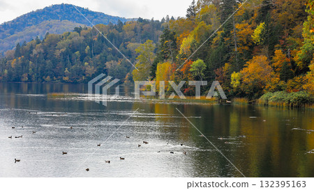 Autumn in Oze, Ozegahara and Ozenuma trekking surrounded by autumnal maple leaves, Gunma Prefecture, Japan 132395163