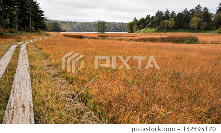 Autumn in Oze, Ozegahara and Ozenuma trekking surrounded by autumnal maple leaves, Gunma Prefecture, Japan 132395170