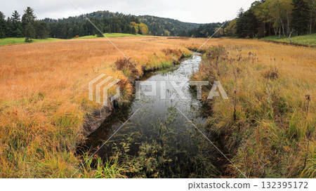 Autumn in Oze, Ozegahara and Ozenuma trekking surrounded by autumnal maple leaves, Gunma Prefecture, Japan 132395172